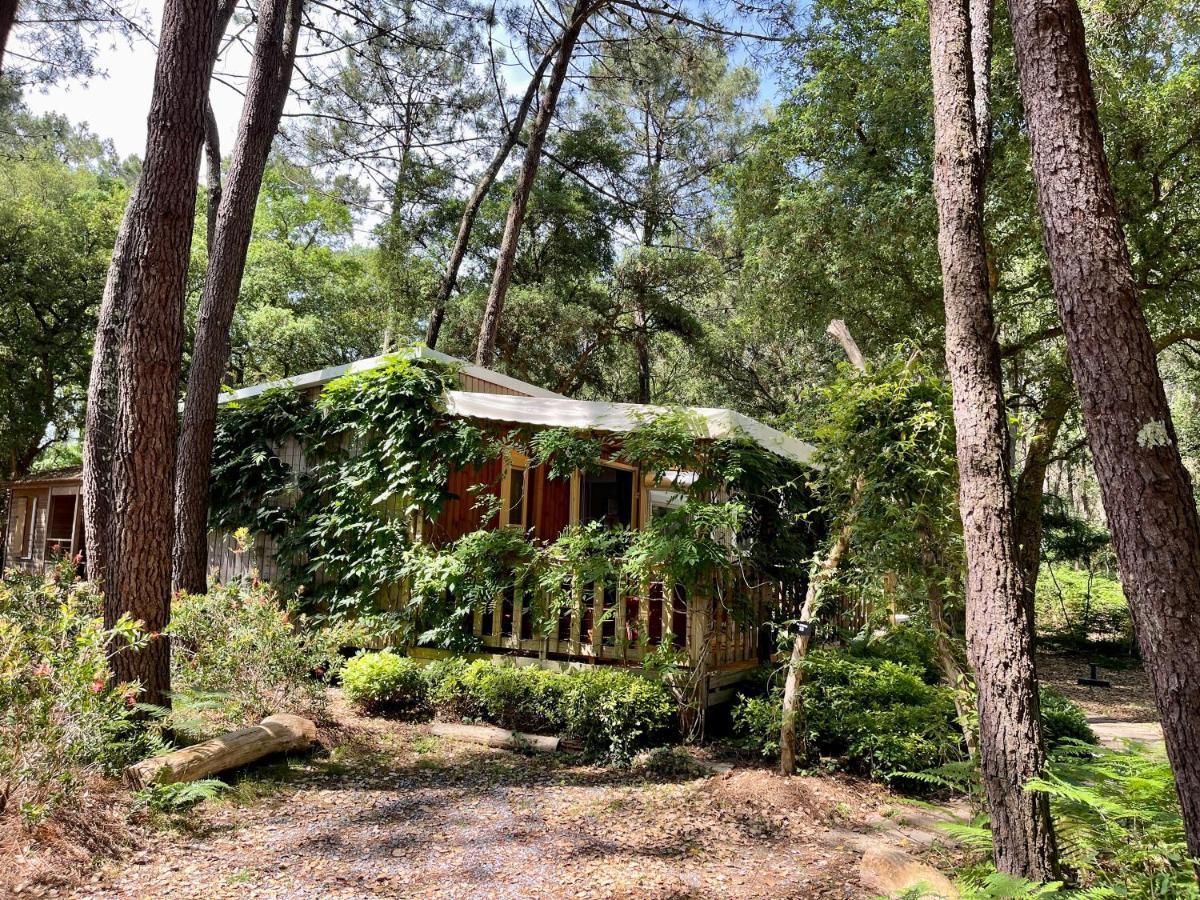 Green Resort Ондр Екстериор снимка